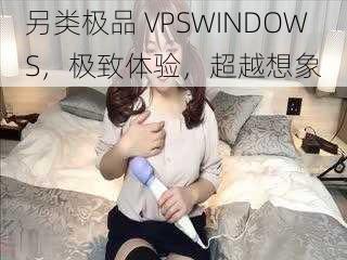 另类极品 VPSWINDOWS，极致体验，超越想象