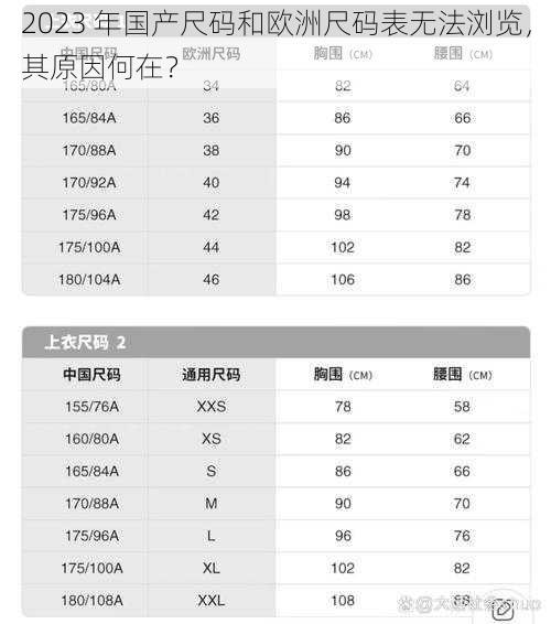 2023 年国产尺码和欧洲尺码表无法浏览，其原因何在？