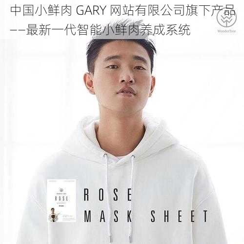 中国小鲜肉 GARY 网站有限公司旗下产品——最新一代智能小鲜肉养成系统