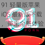 91 轻量版苹果 iOS 最新版下载，带来全新体验