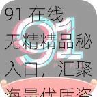 91 在线无精精品秘入口，汇聚海量优质资源，满足你所有需求