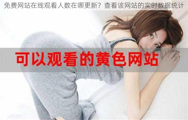 免费网站在线观看人数在哪更新？查看该网站的实时数据统计