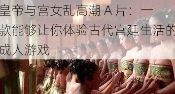 皇帝与宫女乱高潮 A 片：一款能够让你体验古代宫廷生活的成人游戏