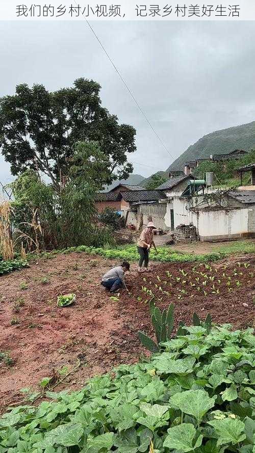 我们的乡村小视频，记录乡村美好生活