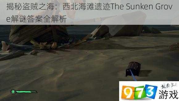 揭秘盗贼之海：西北海滩遗迹The Sunken Grove解谜答案全解析