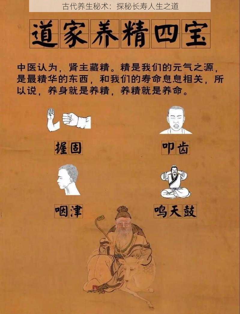 古代养生秘术：探秘长寿人生之道