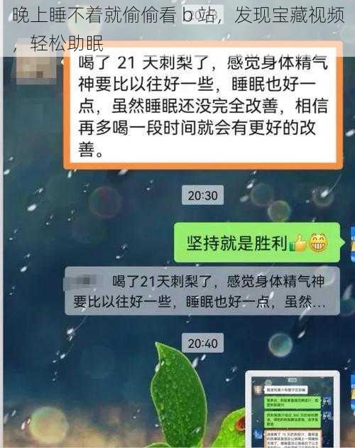 晚上睡不着就偷偷看 b 站，发现宝藏视频，轻松助眠