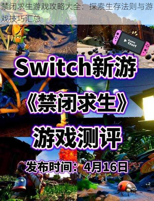 禁闭求生游戏攻略大全：探索生存法则与游戏技巧汇总