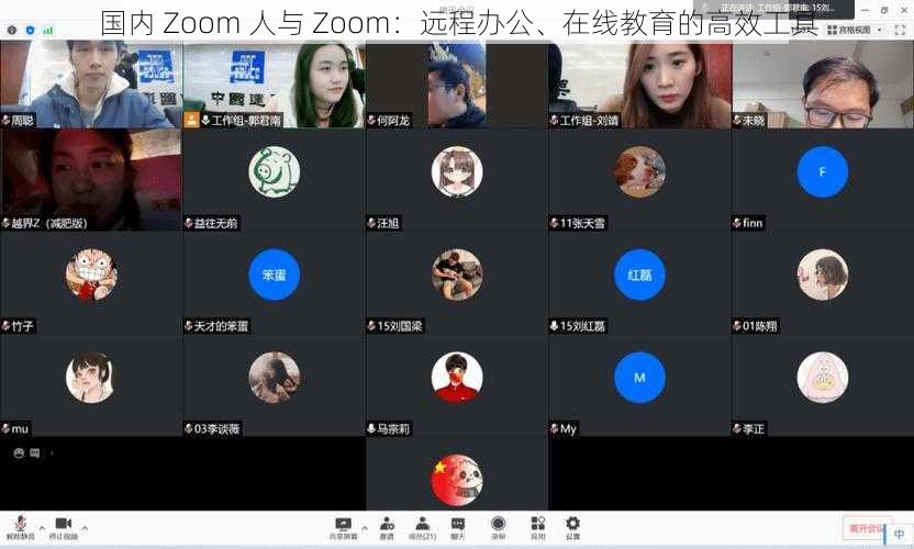 国内 Zoom 人与 Zoom：远程办公、在线教育的高效工具