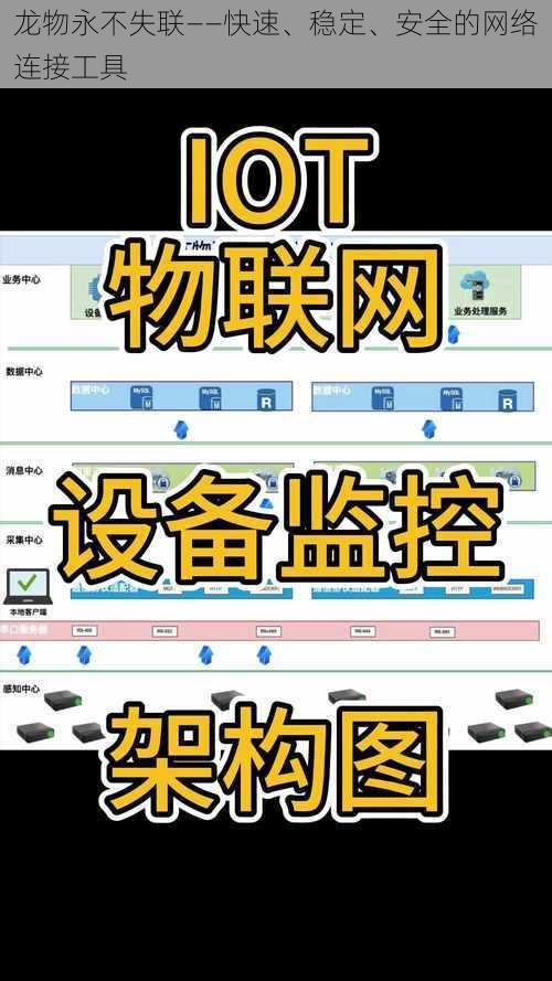 龙物永不失联——快速、稳定、安全的网络连接工具