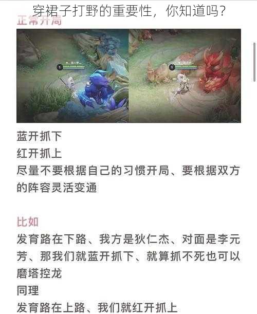 穿裙子打野的重要性，你知道吗？