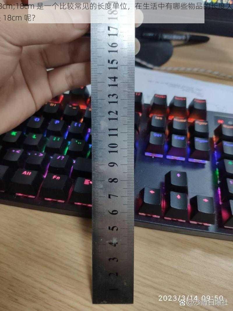 18cm;18cm 是一个比较常见的长度单位，在生活中有哪些物品的长度大约是 18cm 呢？