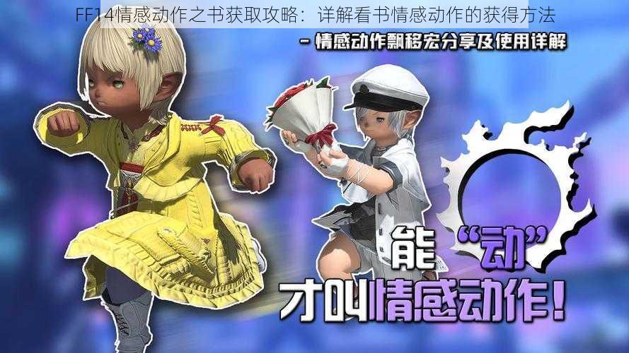 FF14情感动作之书获取攻略：详解看书情感动作的获得方法