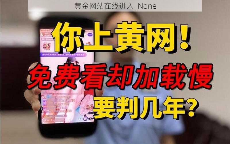 黄金网站在线进入_None