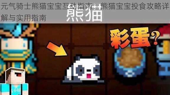 元气骑士熊猫宝宝互动指南：熊猫宝宝投食攻略详解与实用指南