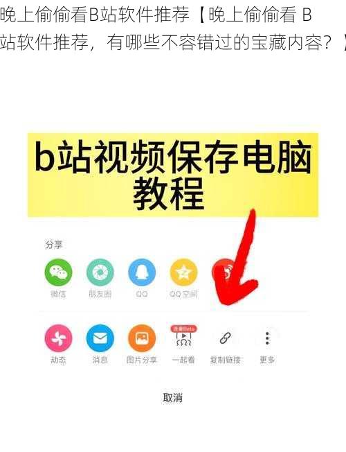 晚上偷偷看B站软件推荐【晚上偷偷看 B 站软件推荐，有哪些不容错过的宝藏内容？】