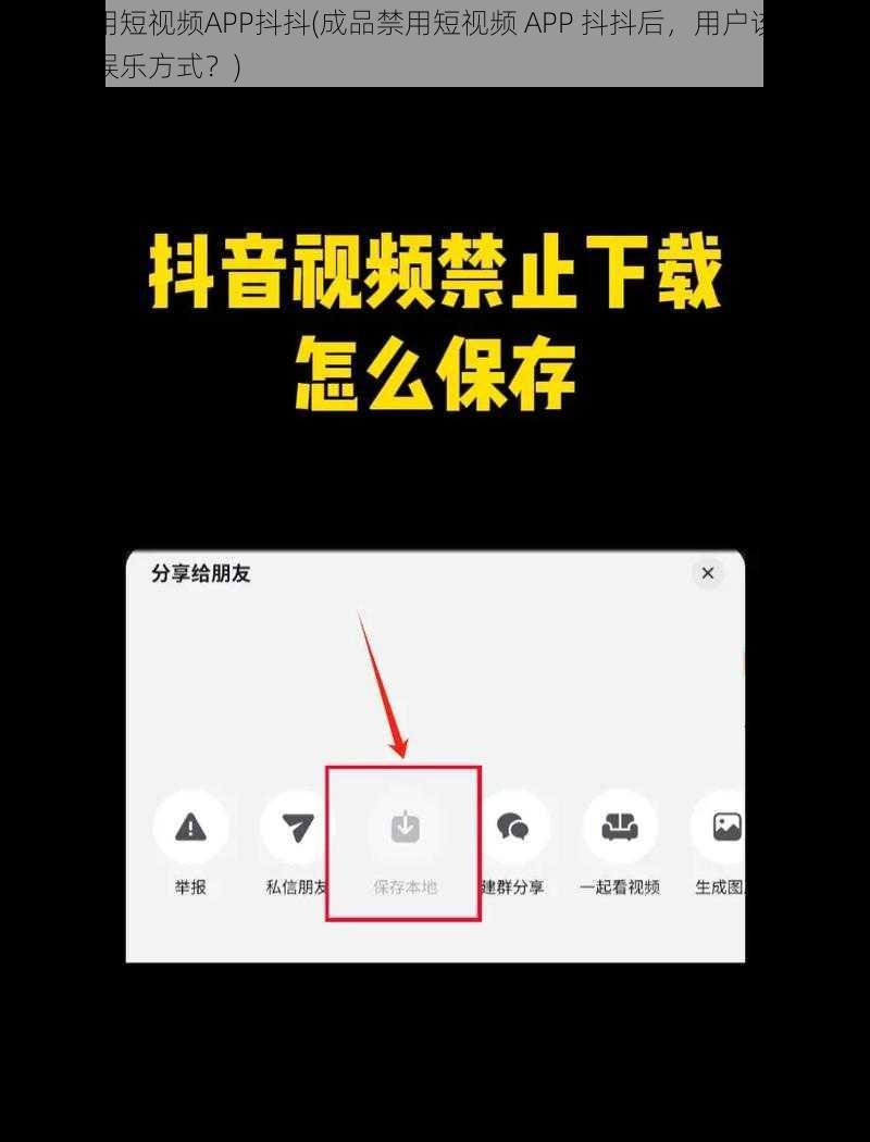 成品禁用短视频APP抖抖(成品禁用短视频 APP 抖抖后，用户该如何选择其他娱乐方式？)