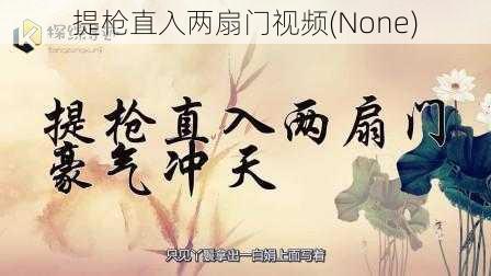 提枪直入两扇门视频(None)