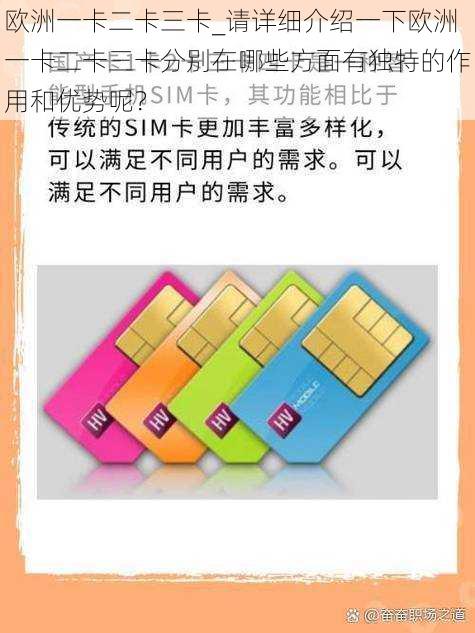 欧洲一卡二卡三卡_请详细介绍一下欧洲一卡二卡三卡分别在哪些方面有独特的作用和优势呢？