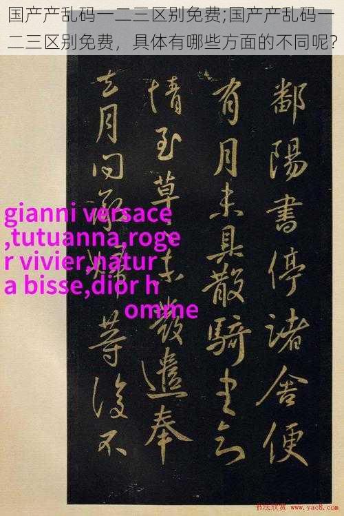 国产产乱码一二三区别免费;国产产乱码一二三区别免费，具体有哪些方面的不同呢？