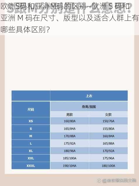 欧洲S码和亚洲M码的区别—欧洲 S 码和亚洲 M 码在尺寸、版型以及适合人群上有哪些具体区别？