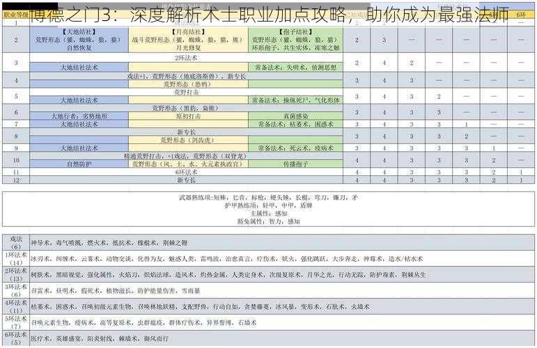 博德之门3：深度解析术士职业加点攻略，助你成为最强法师