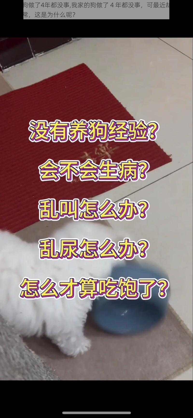 我家的狗做了4年都没事,我家的狗做了 4 年都没事，可最近却突然出现了异常，这是为什么呢？