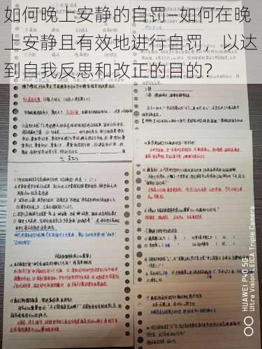 如何晚上安静的自罚—如何在晚上安静且有效地进行自罚，以达到自我反思和改正的目的？