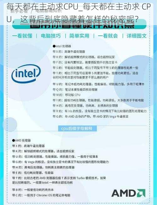 每天都在主动求CPU_每天都在主动求 CPU，这背后到底隐藏着怎样的秘密呢？