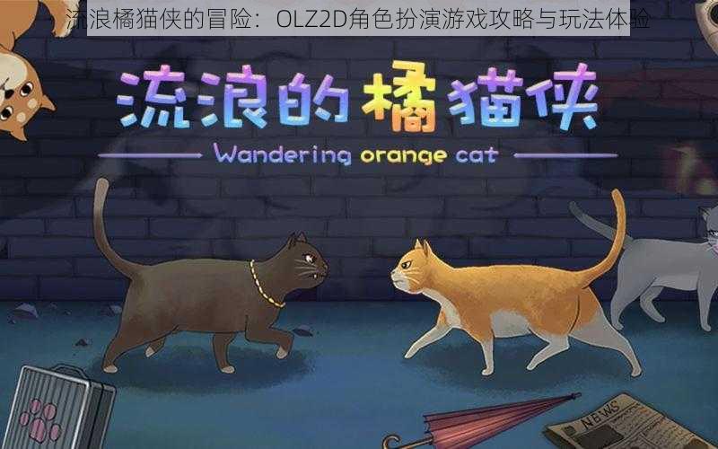 流浪橘猫侠的冒险：OLZ2D角色扮演游戏攻略与玩法体验