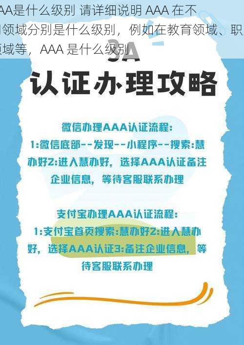 AAA是什么级别 请详细说明 AAA 在不同领域分别是什么级别，例如在教育领域、职业领域等，AAA 是什么级别