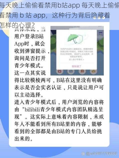 每天晚上偷偷看禁用b站app 每天晚上偷偷看禁用 b 站 app，这种行为背后隐藏着怎样的心理？