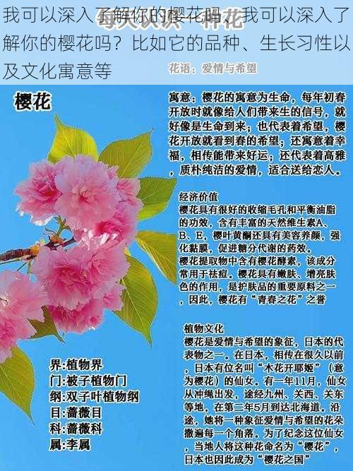 我可以深入了解你的樱花吗、我可以深入了解你的樱花吗？比如它的品种、生长习性以及文化寓意等