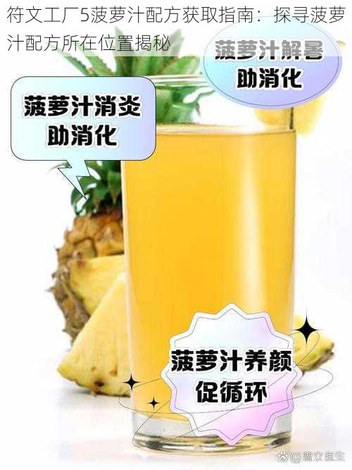 符文工厂5菠萝汁配方获取指南：探寻菠萝汁配方所在位置揭秘