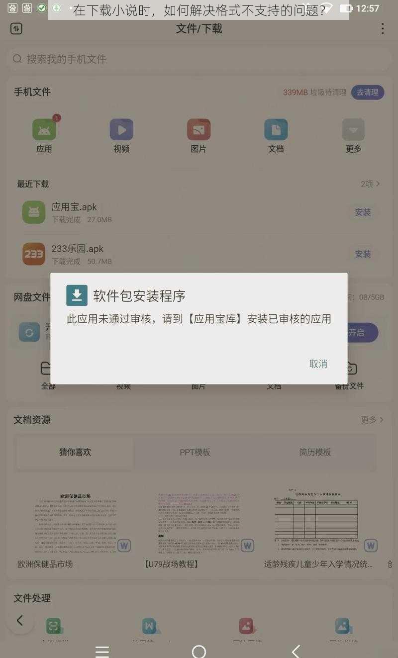 在下载小说时，如何解决格式不支持的问题？