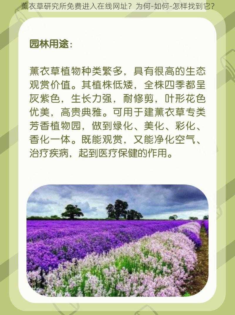 薰衣草研究所免费进入在线网址？为何-如何-怎样找到它？