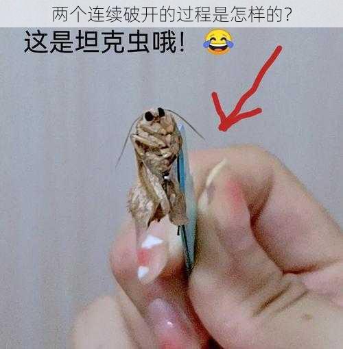 两个连续破开的过程是怎样的？