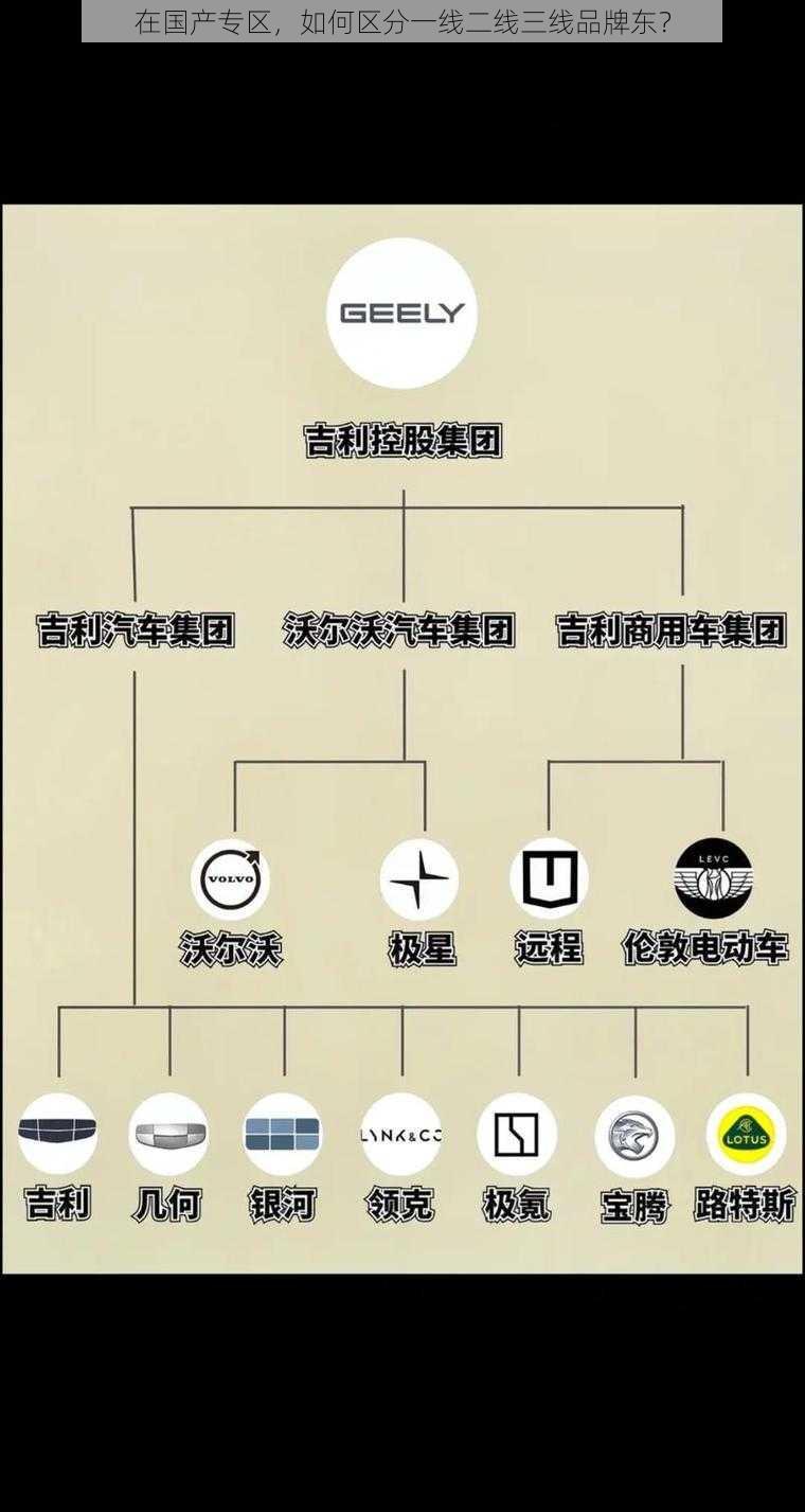 在国产专区，如何区分一线二线三线品牌东？