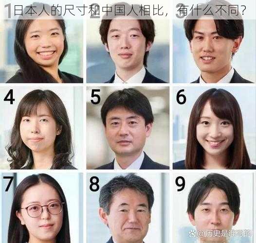 日本人的尺寸和中国人相比，有什么不同？