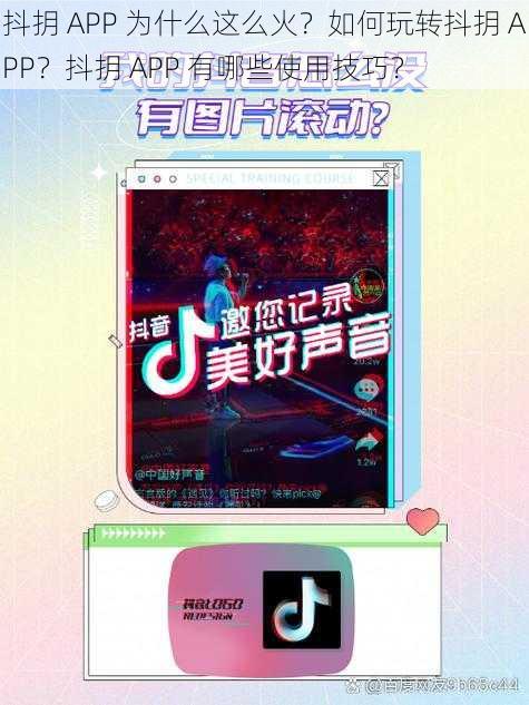 抖抈 APP 为什么这么火？如何玩转抖抈 APP？抖抈 APP 有哪些使用技巧？