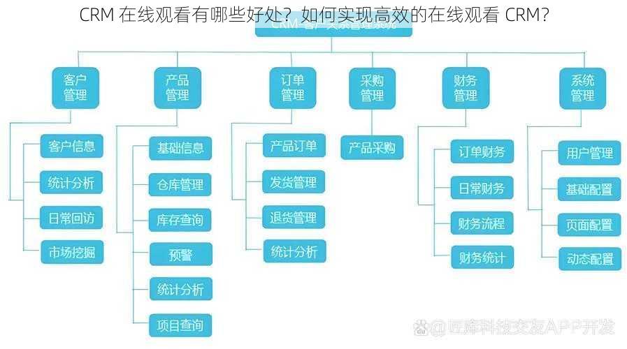 CRM 在线观看有哪些好处？如何实现高效的在线观看 CRM？