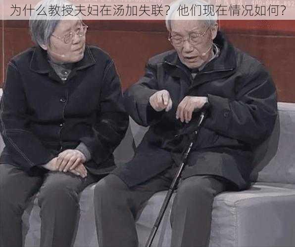 为什么教授夫妇在汤加失联？他们现在情况如何？