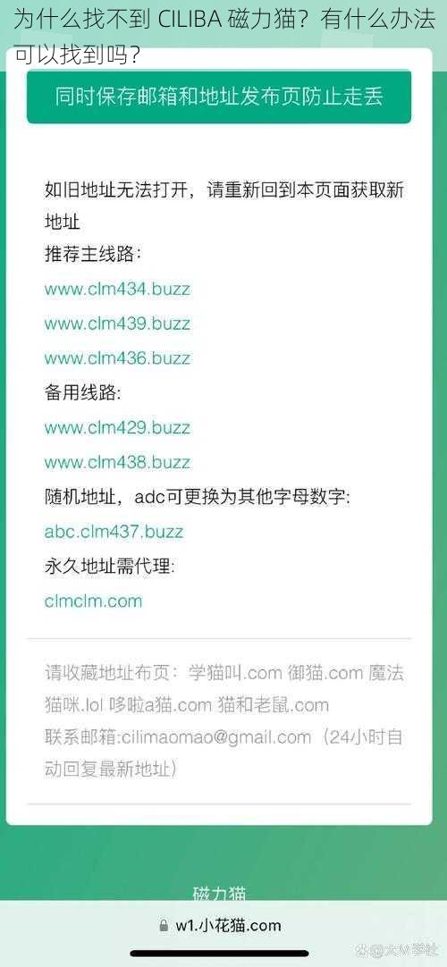 为什么找不到 CILIBA 磁力猫？有什么办法可以找到吗？