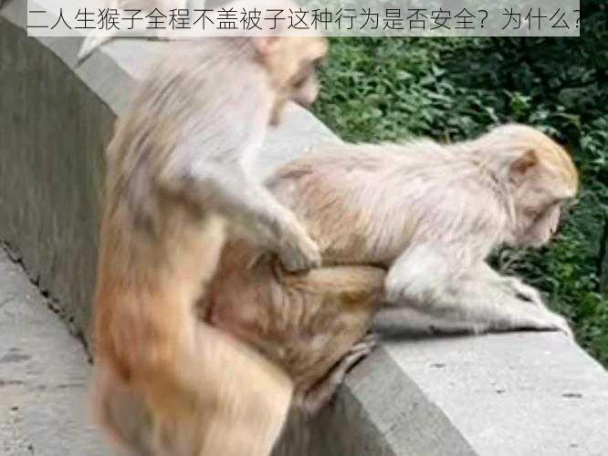 二人生猴子全程不盖被子这种行为是否安全？为什么？