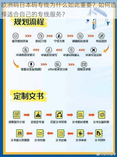 欧洲码日本码专线为什么如此重要？如何选择适合自己的专线服务？