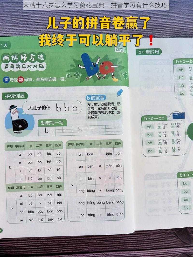 未满十八岁怎么学习葵花宝典？拼音学习有什么技巧？