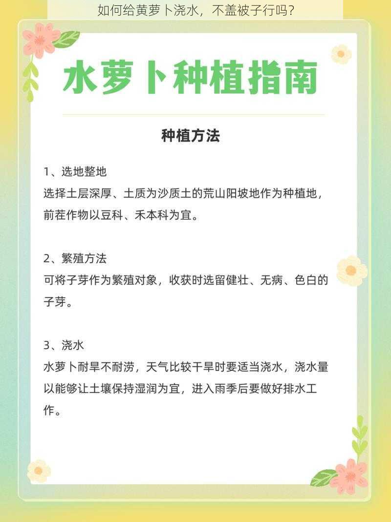 如何给黄萝卜浇水，不盖被子行吗？