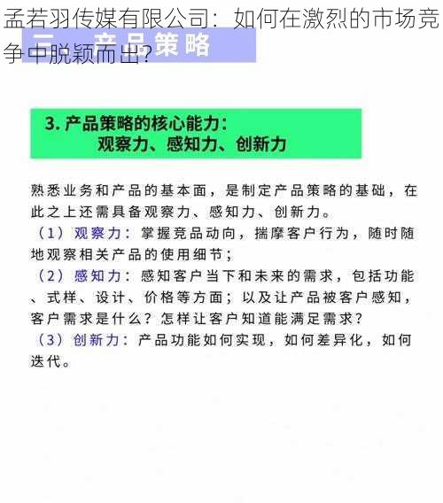 孟若羽传媒有限公司：如何在激烈的市场竞争中脱颖而出？