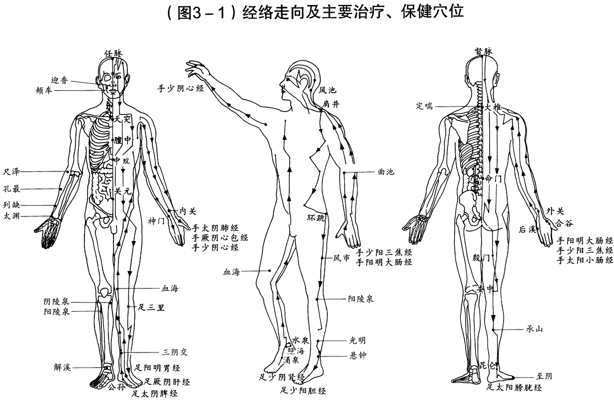 西西人体太胆怎么了？探秘人体奥秘，专家为你解读