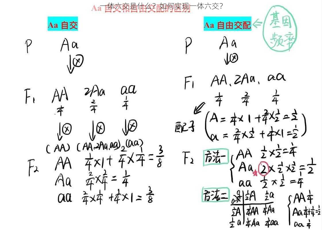 一体六交是什么？如何实现一体六交？